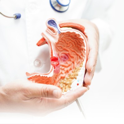 الجهاز الهضمي