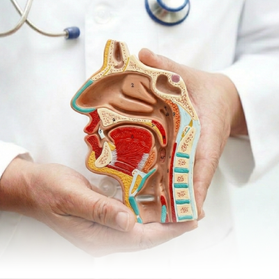 الأنف والاذن والحنجرة