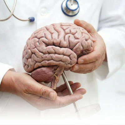 المخ والأعصاب